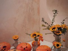 -HUATA 'Holiday Plan 花榻