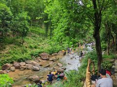 -广州白江湖森林公园