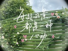 -五观堂素食(新华路店)