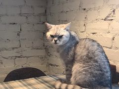 -不舍昼夜咖啡馆