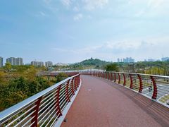 -王借岗森林公园