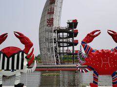-微山湖红荷湿地景区