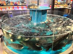 -魏铭鱼头捞饭(晋阳路店)