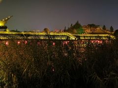 -凤城河风景区