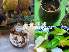 -巢湖名吃·徽府农家菜(半汤店)