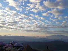 -紫鹊界梯田景区