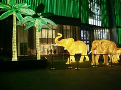 -百年尹氏汤包(湖南路狮子桥店)