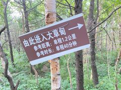 -白草畔自然风景区