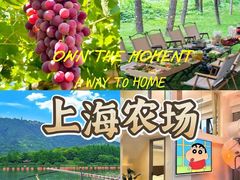 -上海山野camping·户外天幕烧烤·团建拓展营地