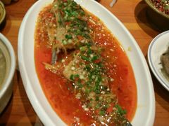 -小辣娇·老成都传统川菜(鹭港店)