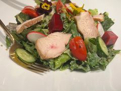 土鸡肉蔬菜沙拉配黑松露汁-觅唐MITONG(鸟巢店)
