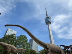 -陕西自然博物馆