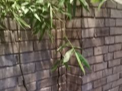 -鸢飞潍坊菜馆(鸢飞大酒店)
