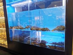 -大头椰·椰子鸡火锅(南宁万象城店)