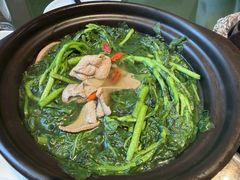 原汁原味西洋菜-煲煲好(朝阳门店)