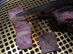 -唯成•韩国炭火烤肉 유성고기