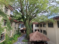 -普陀山雷迪森庄园