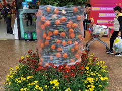 -百佳华超市(松岗店)