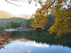 -龙道沟景区
