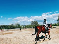-月河湾马术俱乐部(朝阳店)