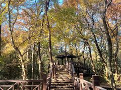 -虞山风景区