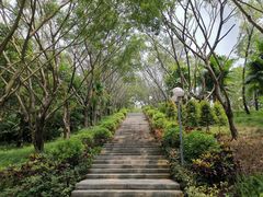 -深圳龙潭公园