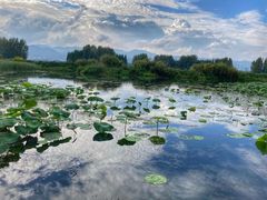 -野鸭湖国家湿地公园