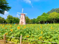 -顺峰山公园