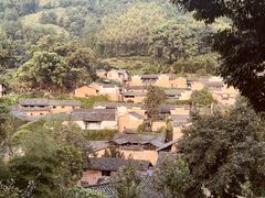 -杨家堂村