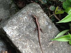 -宁波五龙潭景区