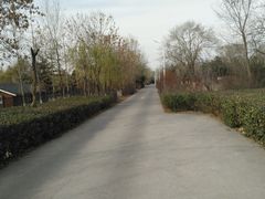 -绿堤公园