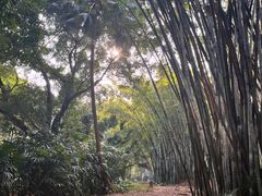 -晓港公园