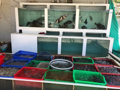 水产区-南蚝小贝海鲜特色餐厅(南澳岛店)