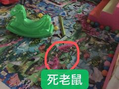 -鹅城