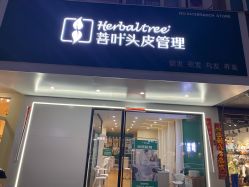 -菩叶脱发白发中心