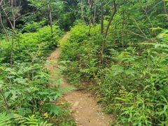 -清凉山国家森林公园