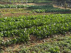 -元鼎宝驴香·全驴宴(江宁店)