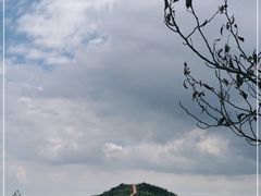 -长虫山生态公园风景林