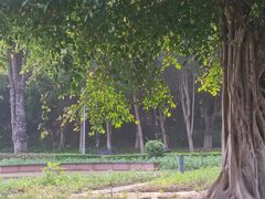 -厦门园林博览苑