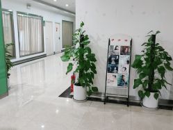 点击看大图 -痘博士重庆·全国连锁祛痘机构