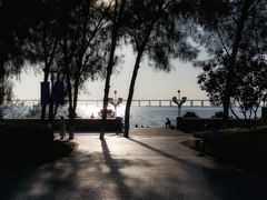 -宝安西湾红树林湿地公园