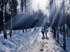 -洛阳白云山景区