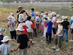 -洪湖家庭农场·团建·露营·会议