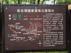 -重庆彩云湖湿地公园