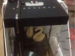 iphone_upload_pic-BLACKSWAN黑天鹅(环球店)