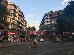 -泡桐树街