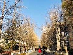-北京化工大学(东校区)
