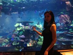 -迪拜帆船酒店海底餐厅