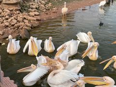 -乐和乐都主题乐园