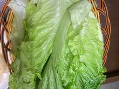 生菜-味逍遥牛肉火锅(万江旗舰店)